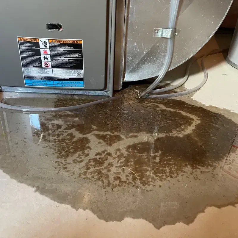 Appliance Leak Cleanup in New Canaan, CT